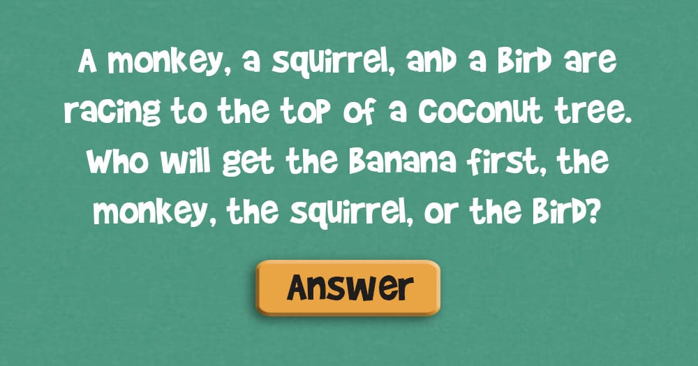 A Monkey, a Squirrel, and a Bird are Racing…