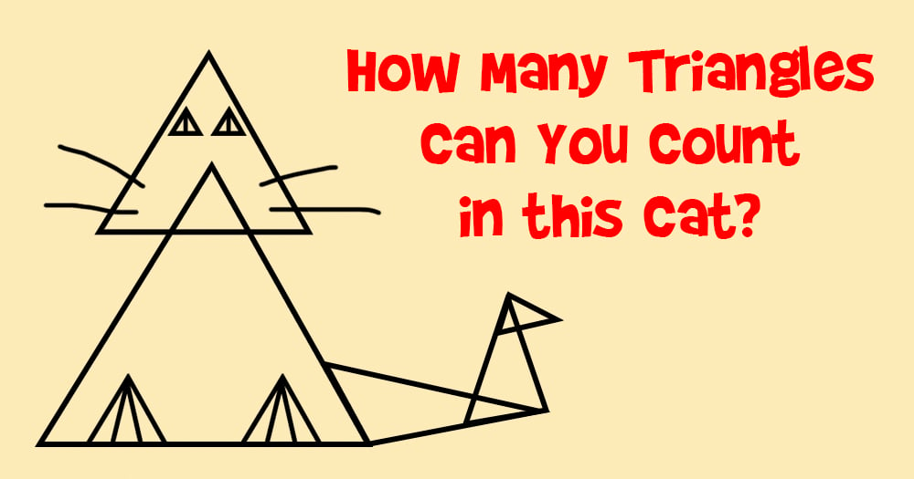 How Many Triangles can You Count in this Cat?