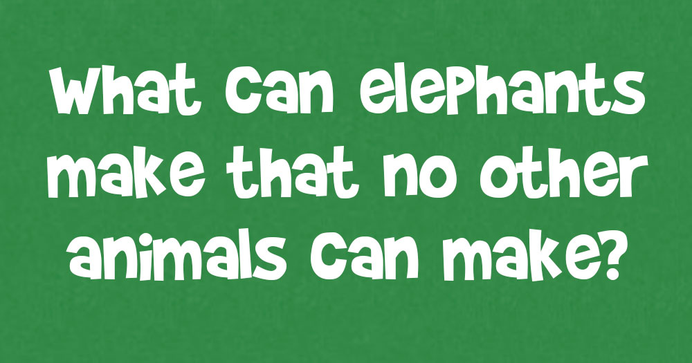 What Can Elephants Make that No Other Animals Can Make?