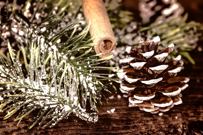 Cinnamon scented pine cones