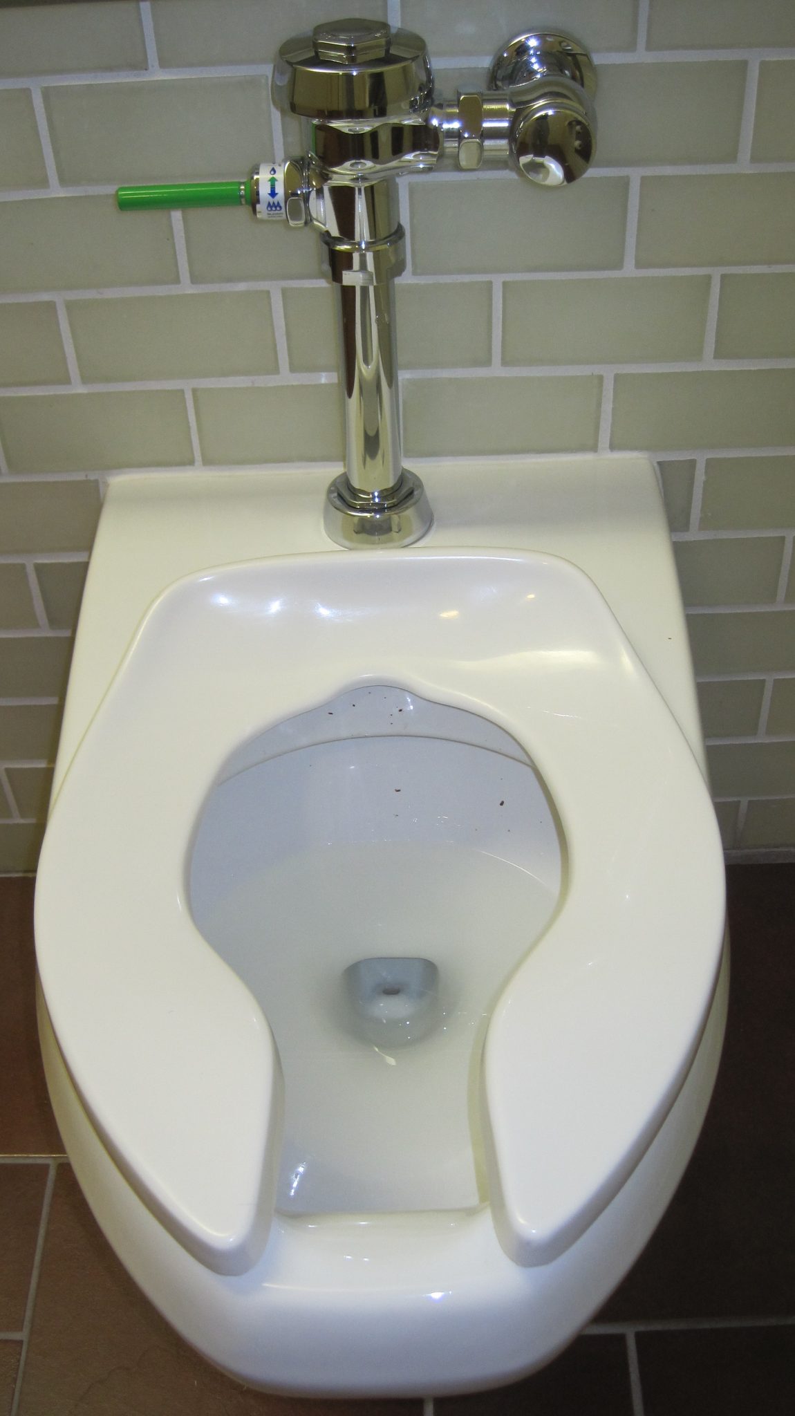 toilet handle