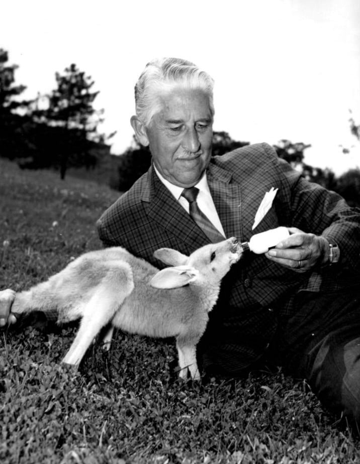 marlin perkins