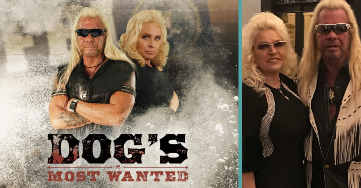 dogs most wanted