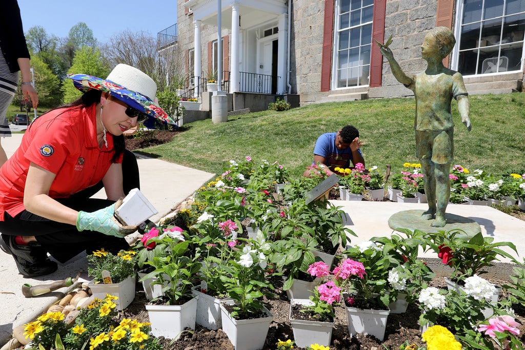 planting