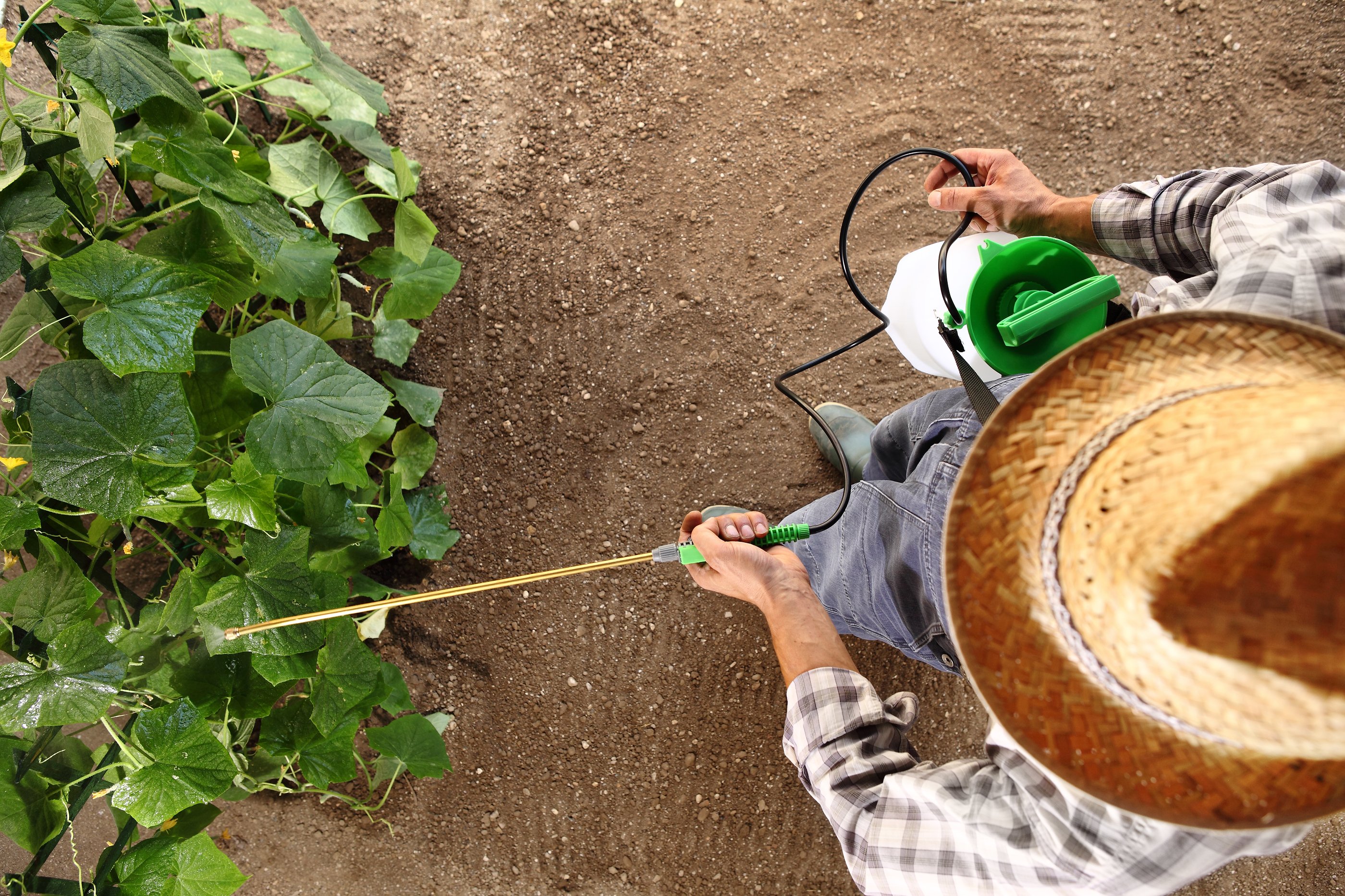 using weed killer