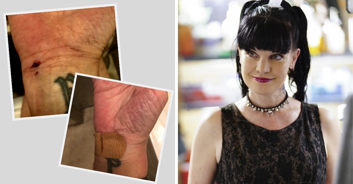 Former 'NCIS' Actress Pauley Perrette Heads To Hospital After Posting Concerning Photos