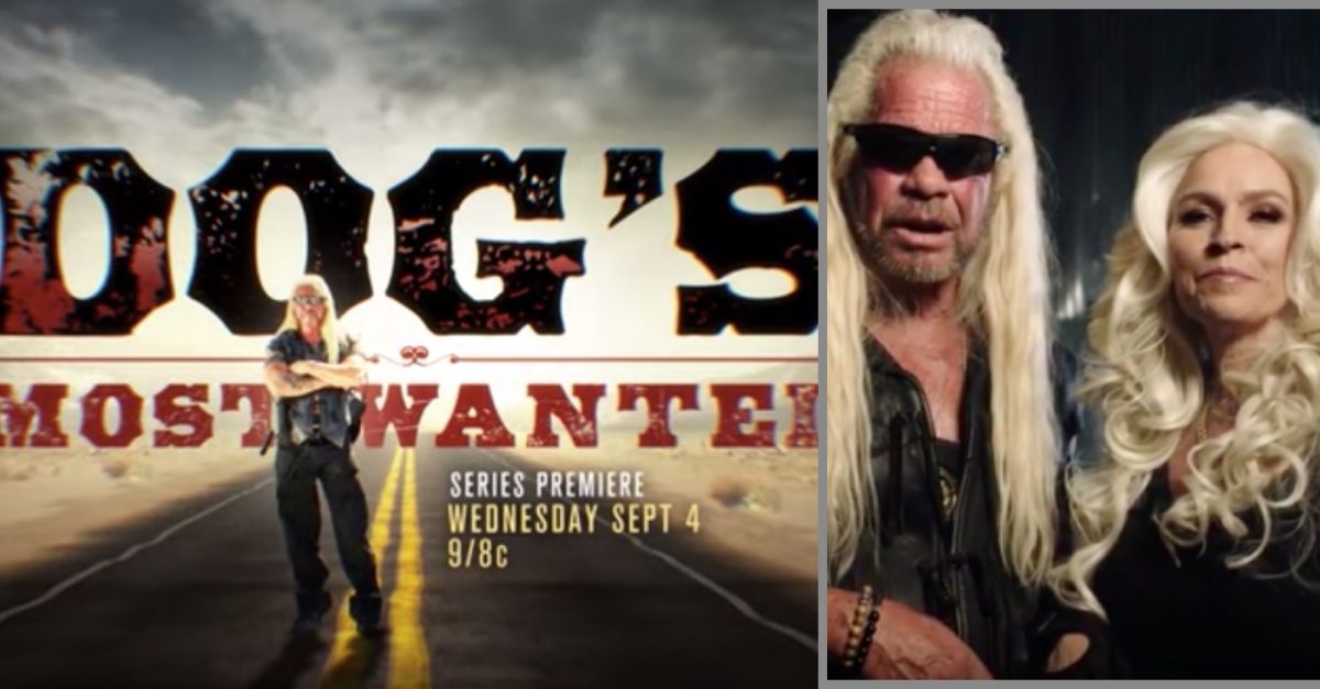 dog's most wanted show premiere date