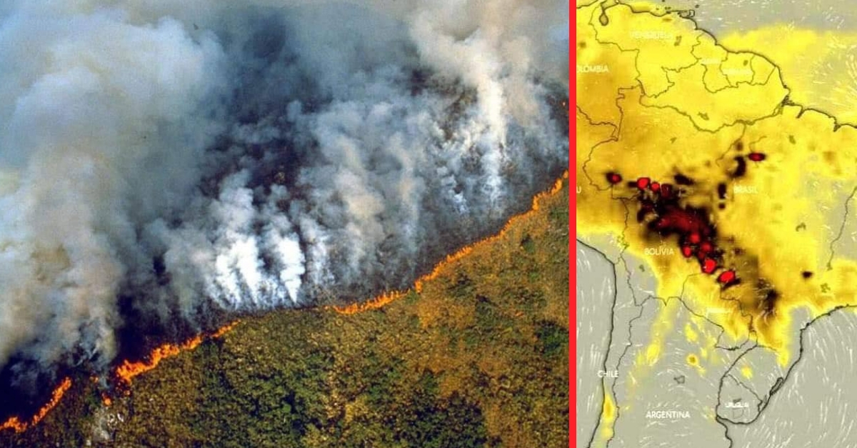 The Amazon Rainforest in Brazil has been burning down for three weeks