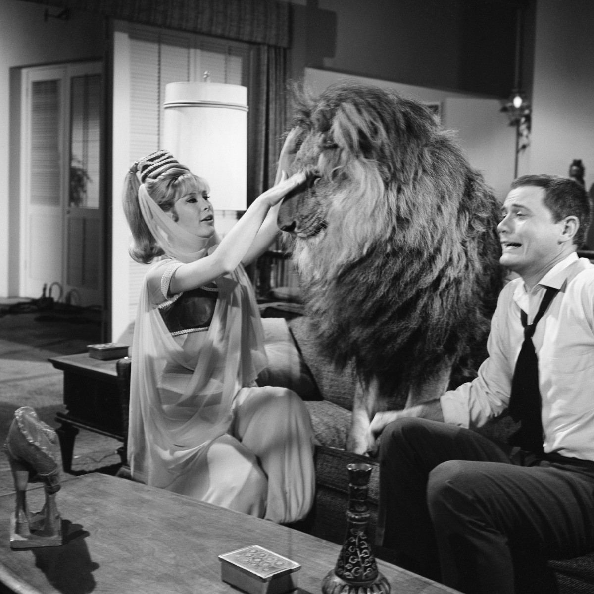 I Dream of Jeannie Lion Episode