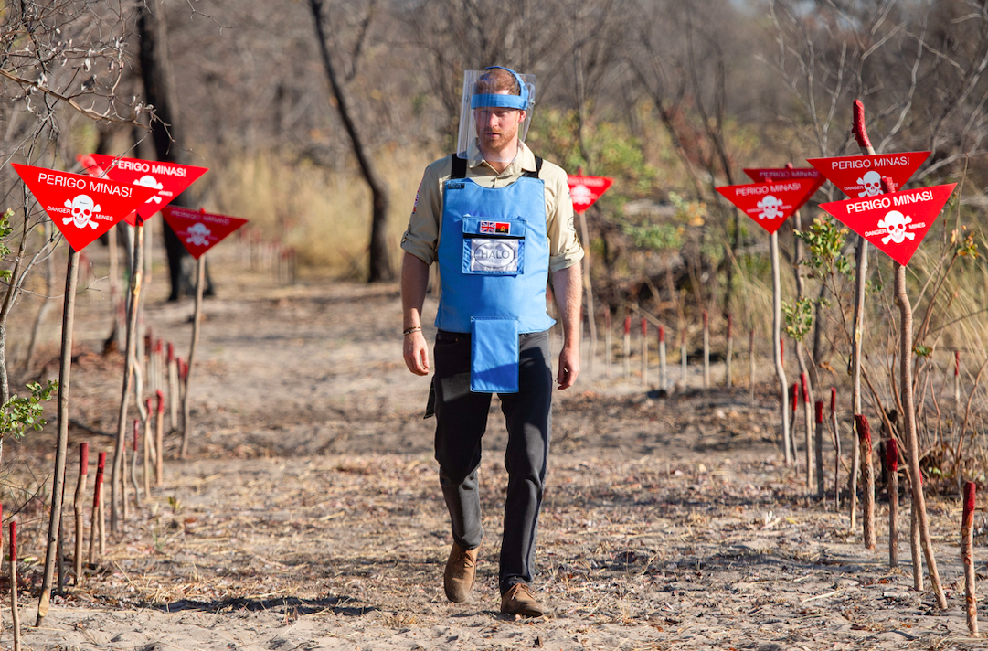 prince harry visits landmine