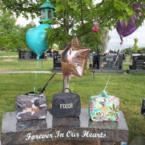 A tribute to the three children taken by a DUI crash