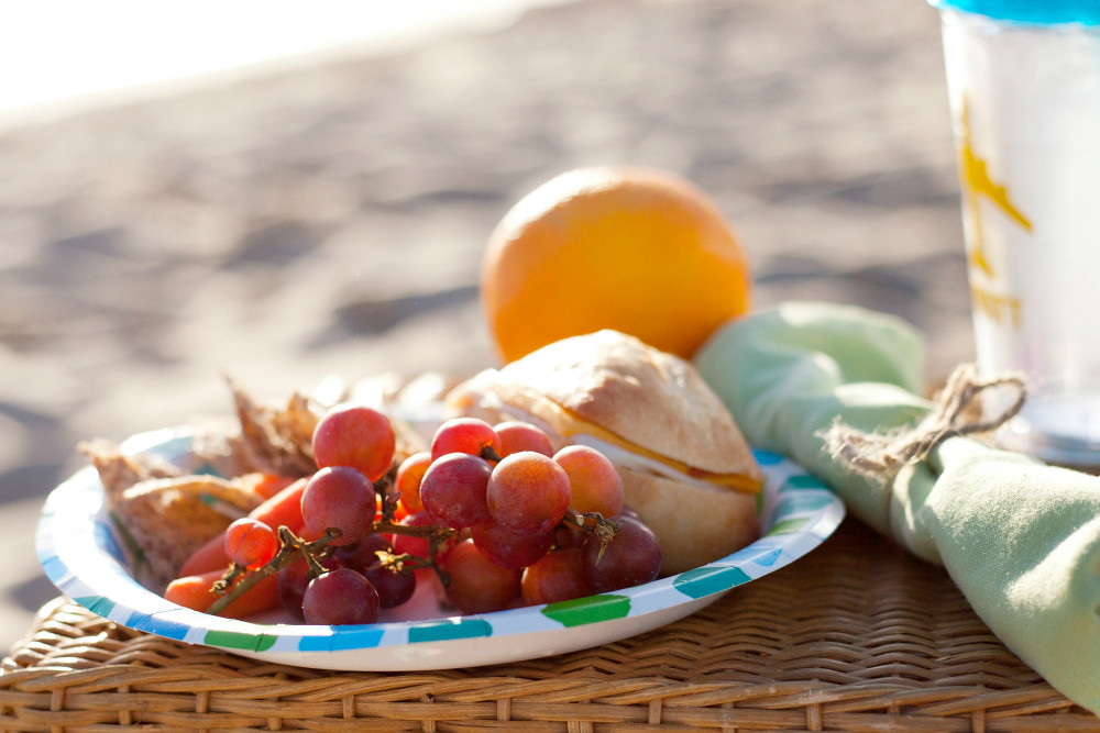 picnic lunch 