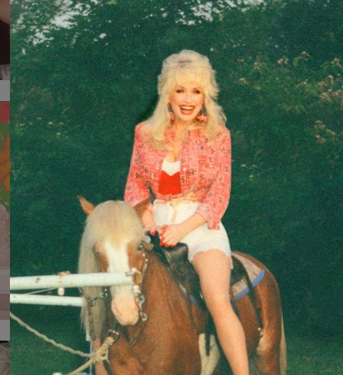 dolly parton horse 