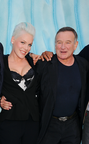 pink recalls time robin williams did stand up for her after she lost at the grammys