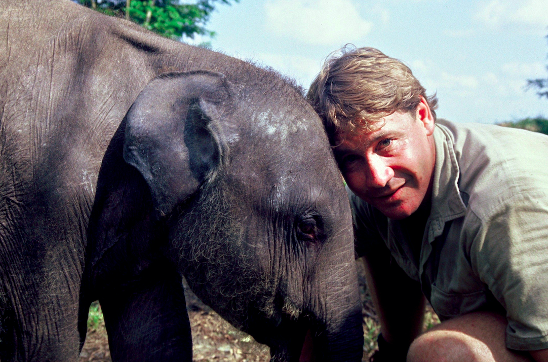 irwin family opens elephant sanctuary