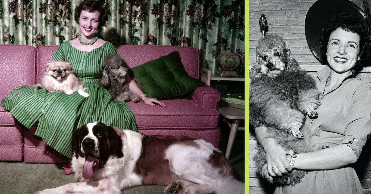 Take A Look At These Rare Photos Of Betty White With Her Dogs At Home In The 1950s
