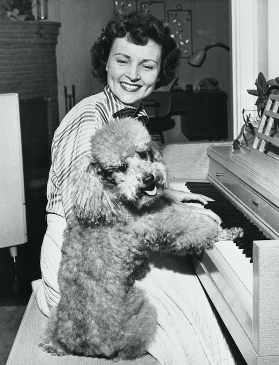 rare photos of betty white and her dogs from 1950s