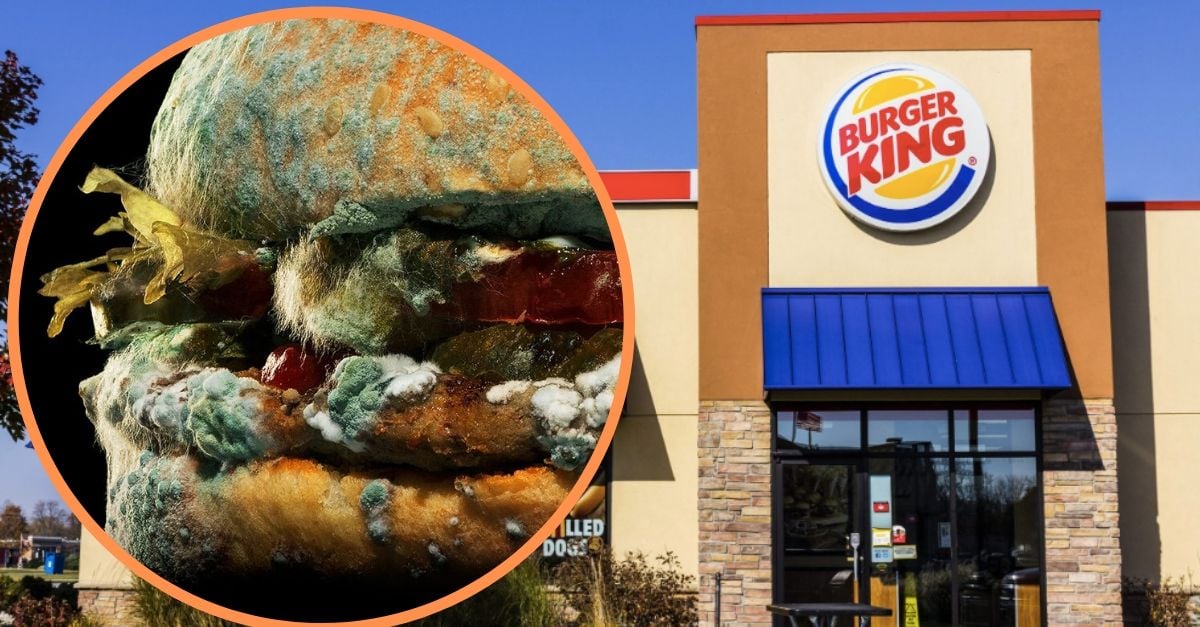 Why Is Burger King Advertising A Moldy Whopper_
