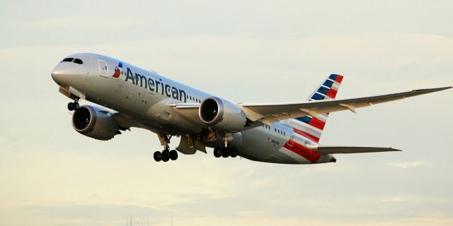 woman brings mini service horse onto flight