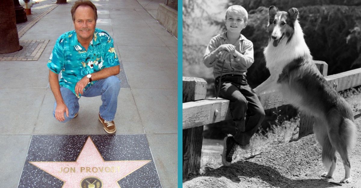 Even all these years later, Jon Provost celebrated another birthday appreciating Lassie