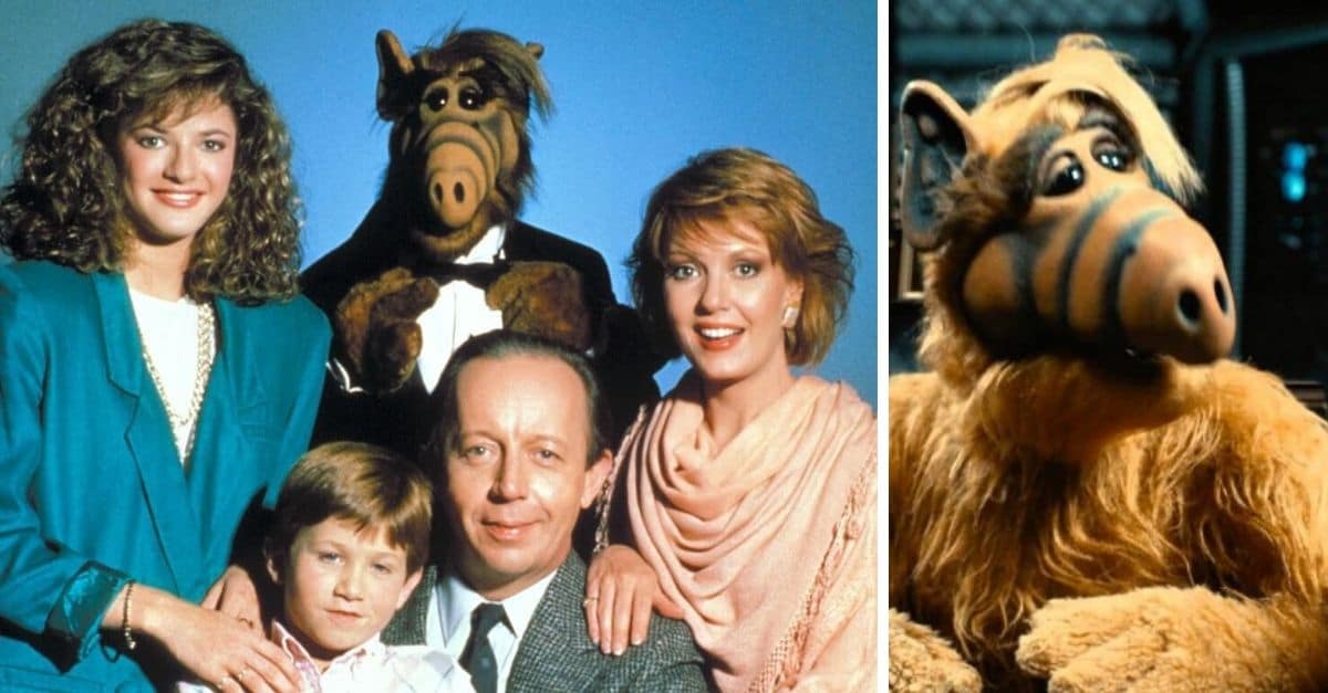 Find out where the cast of Alf is now