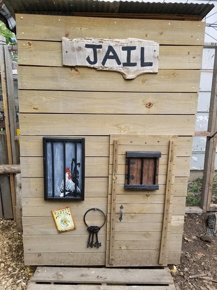 chicken jail