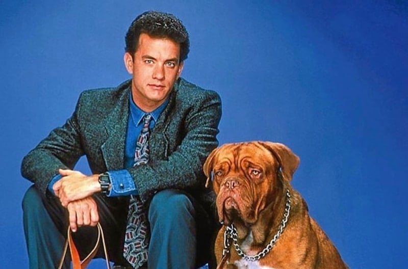 turner and hooch tom hanks