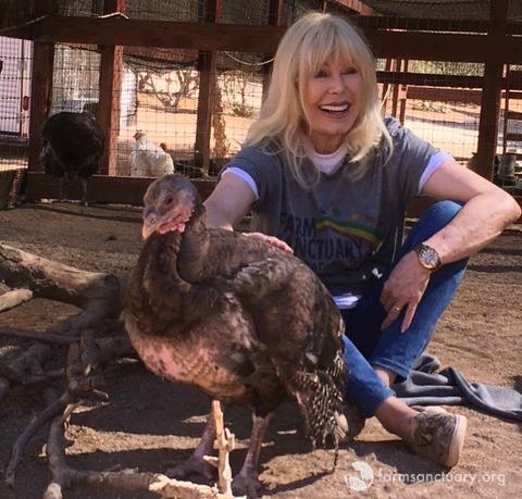 loretta swit animal activist 