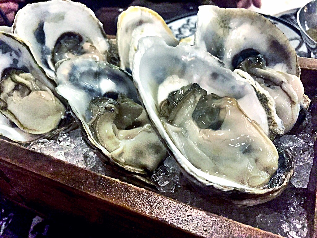 oysters