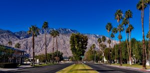 Some people didn't want their vacation to Palm Springs to end
