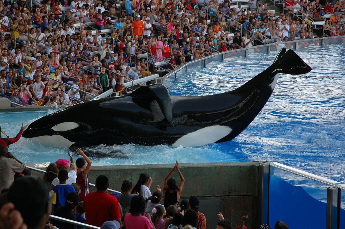 seaworld orlando 