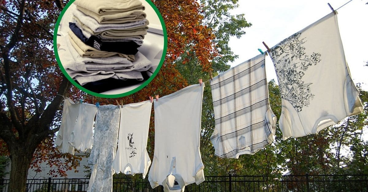 Through the '50s, clotheslines crisscrossed all around to dry clothing