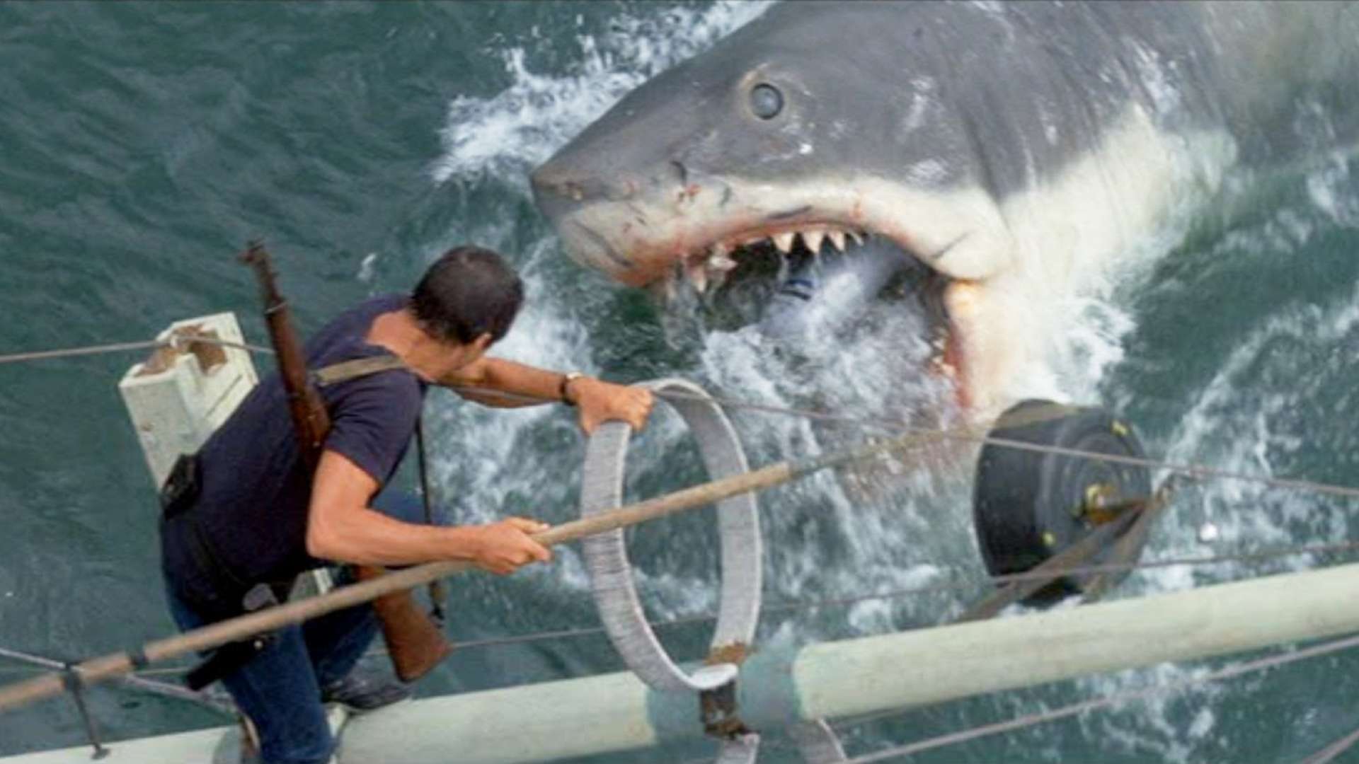 jaws scary scene shark 
