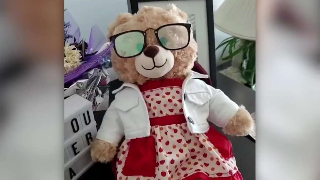 Stolen Teddy Bear With Dying Mother's Voice Finally Reunited With Owner