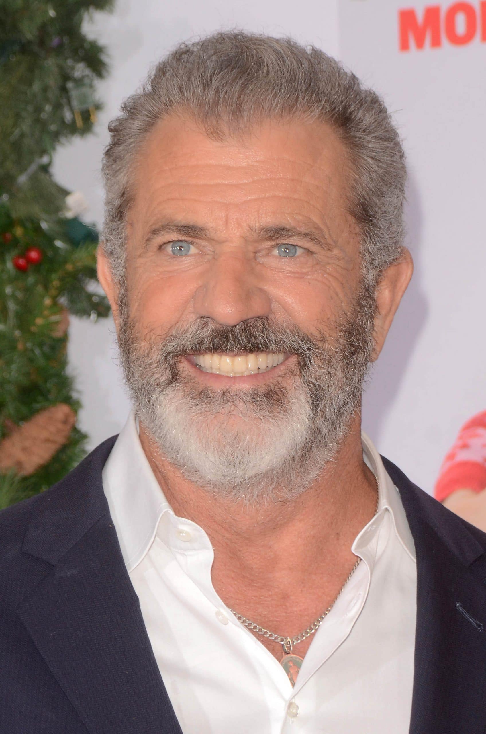 actor mel gibson