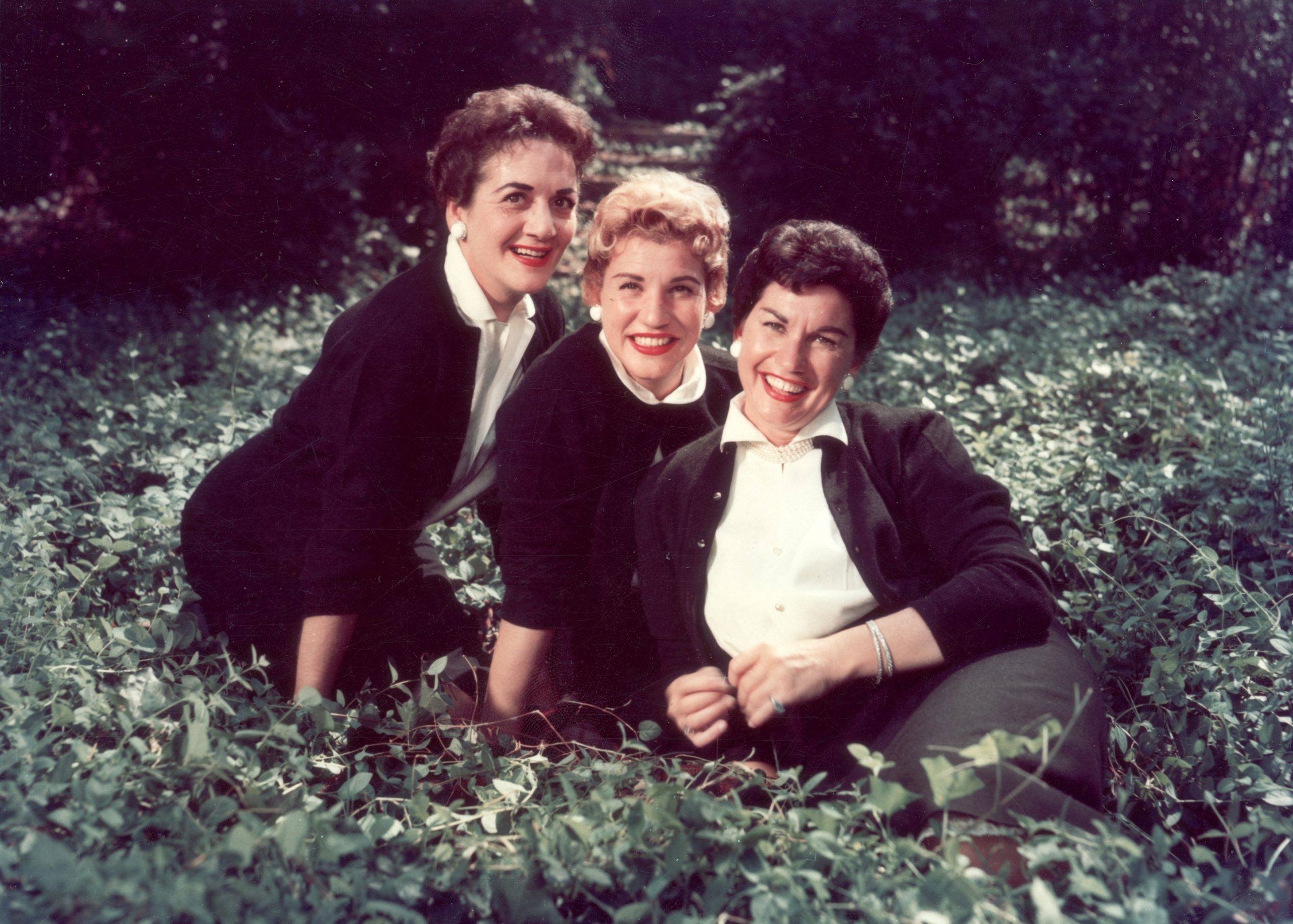 the andrews sisters portrait 