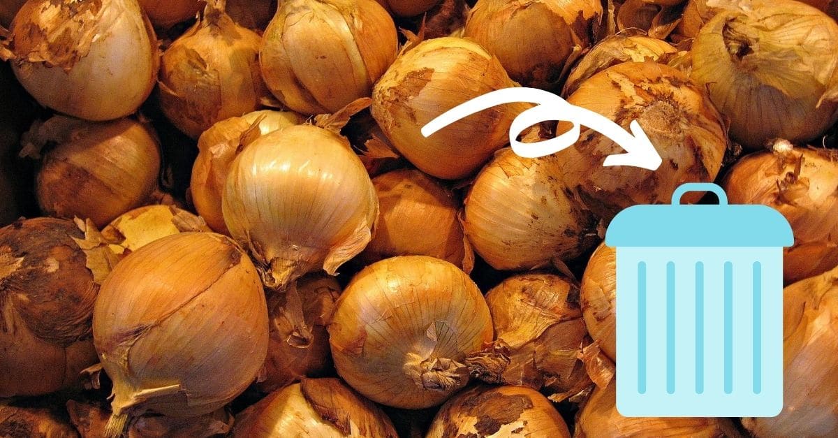 FDA and CDC warns people to throw away their onions