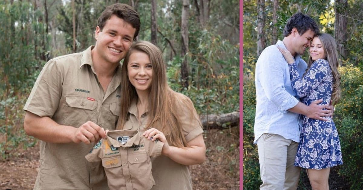 bindi irwin could be expecting twins