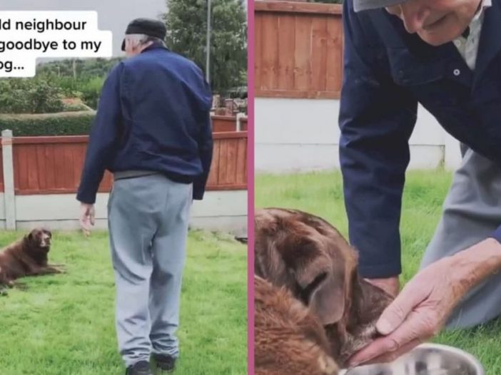 90-Year-Old Neighbor Says Final Goodbye To Furry Friend In Emotional Video