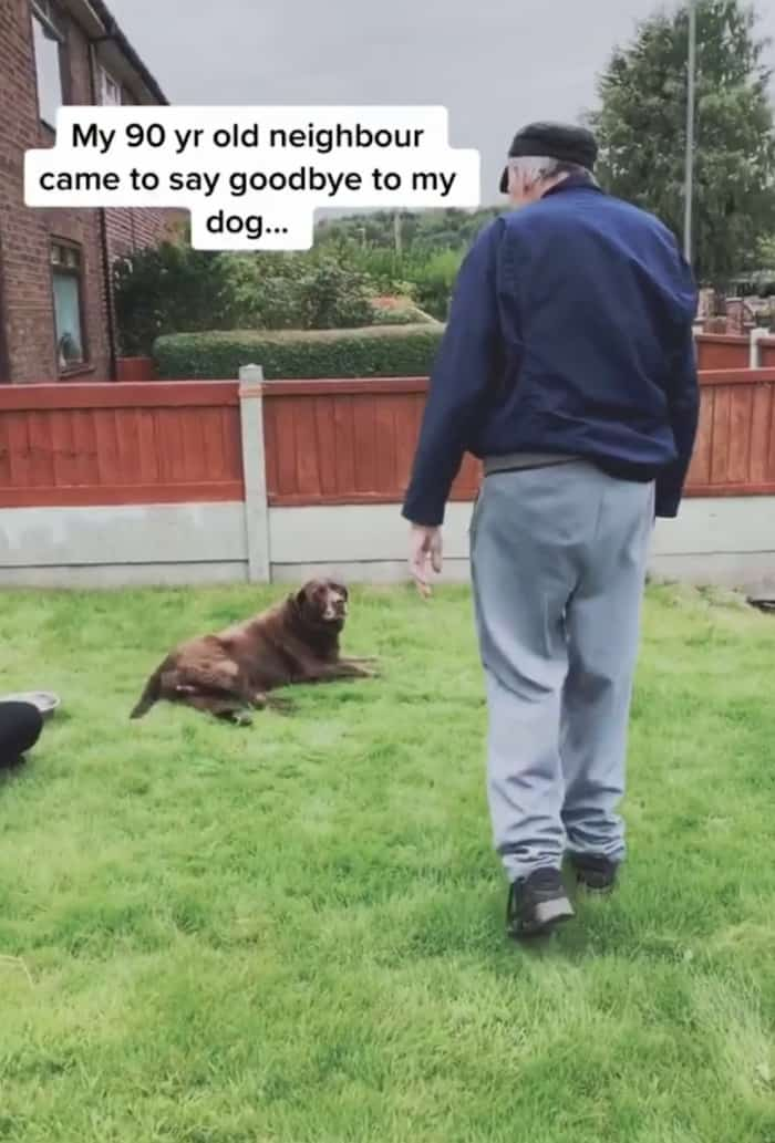 90-Year-Old Neighbor Says Final Goodbye To Furry Friend In Emotional Video