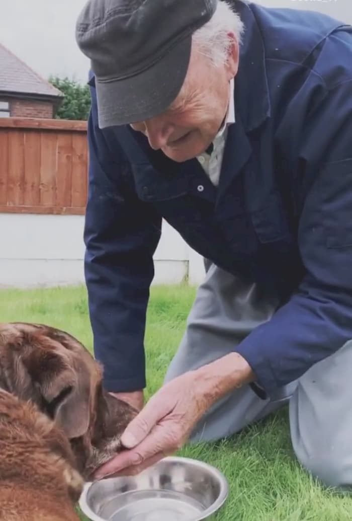 90-Year-Old Neighbor Says Final Goodbye To Furry Friend In Emotional Video