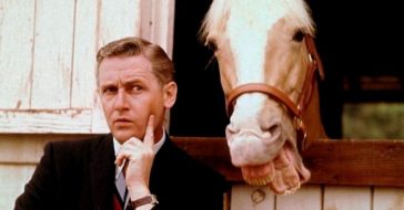 Alan Young and the horse Mister Ed were friends off set
