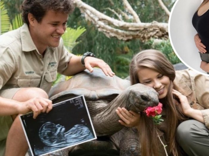 Bindi Irwin shares first bump photo with fans