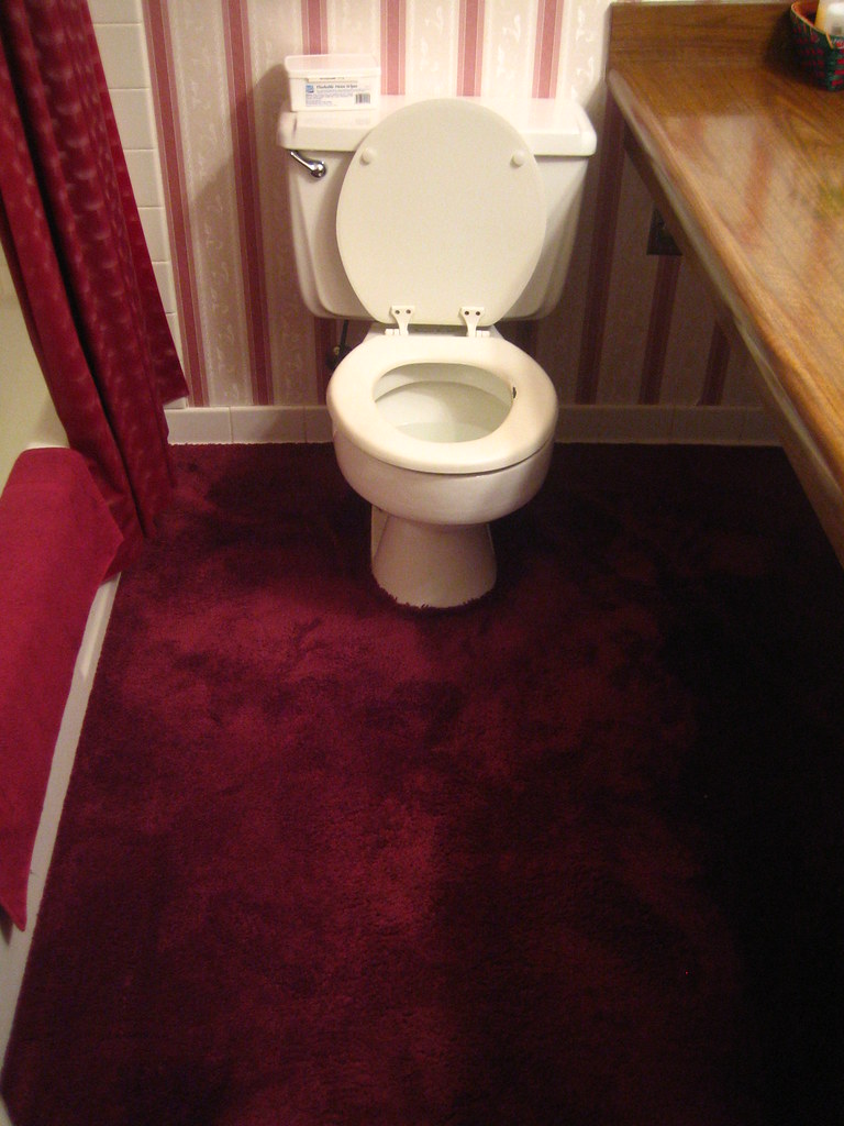 Carpet In The Bathroom 