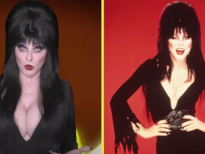 elvira new halloween video