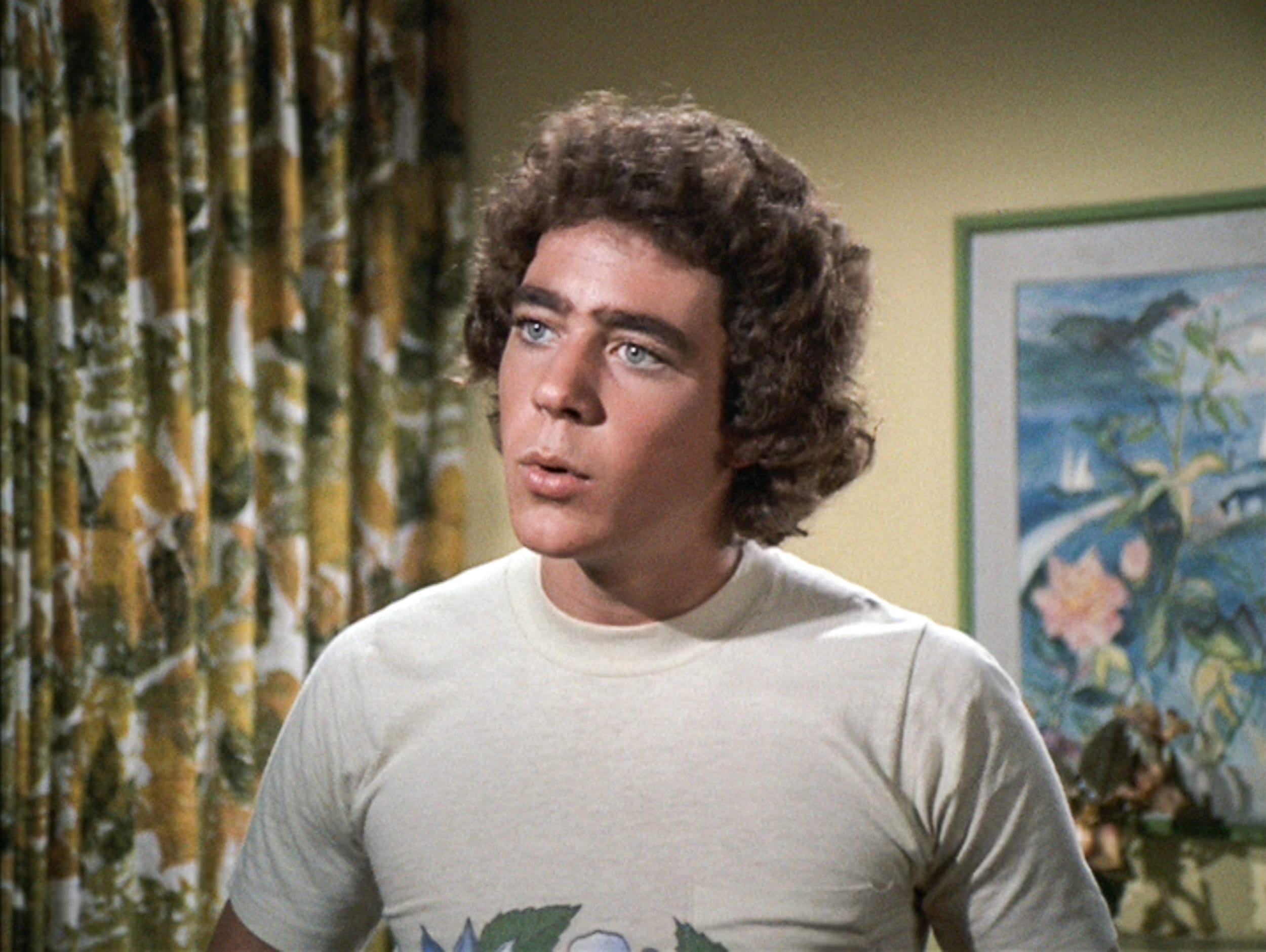 greg brady the brady bunch barry williams 