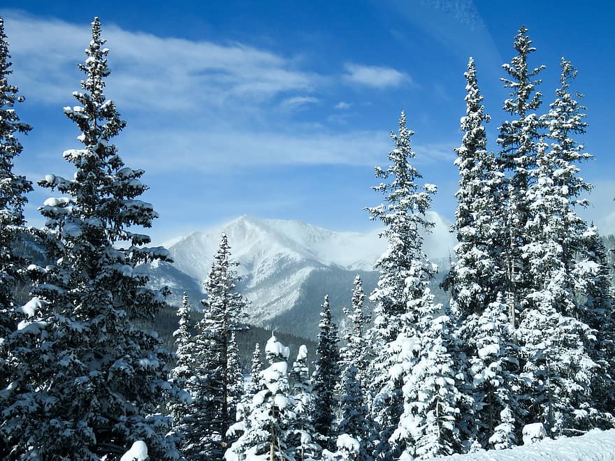 colorado mountains snow snowy trees