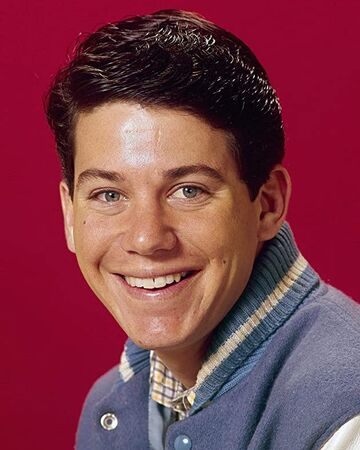 anson williams potsie happy days 