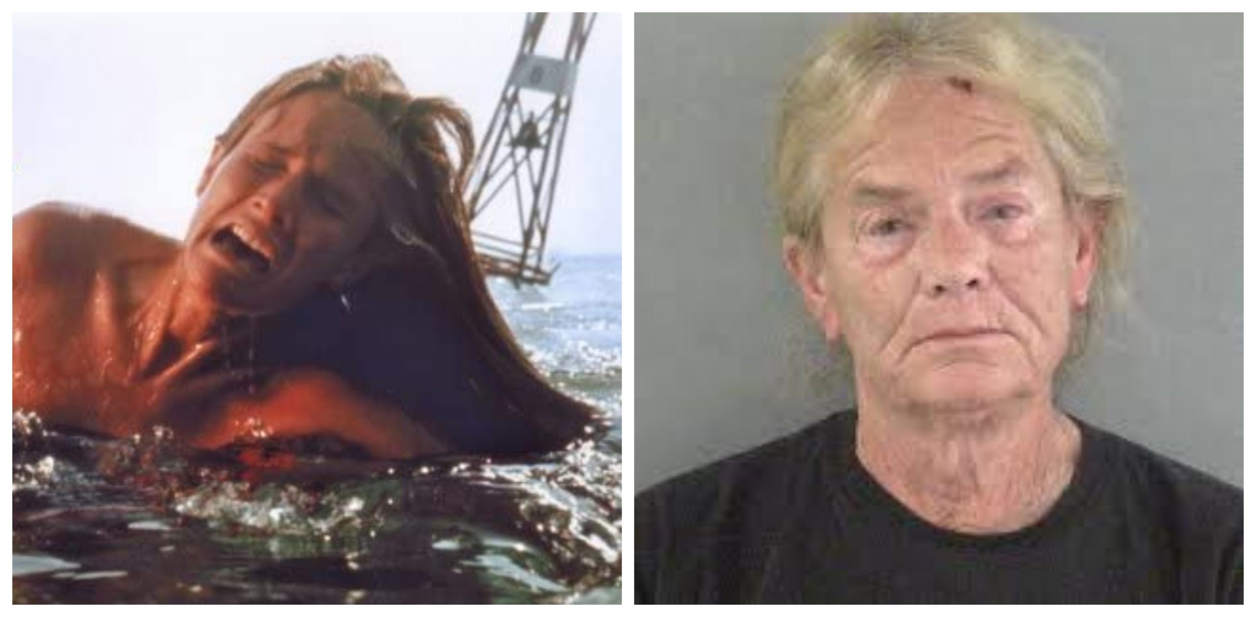 jaws cast then and now