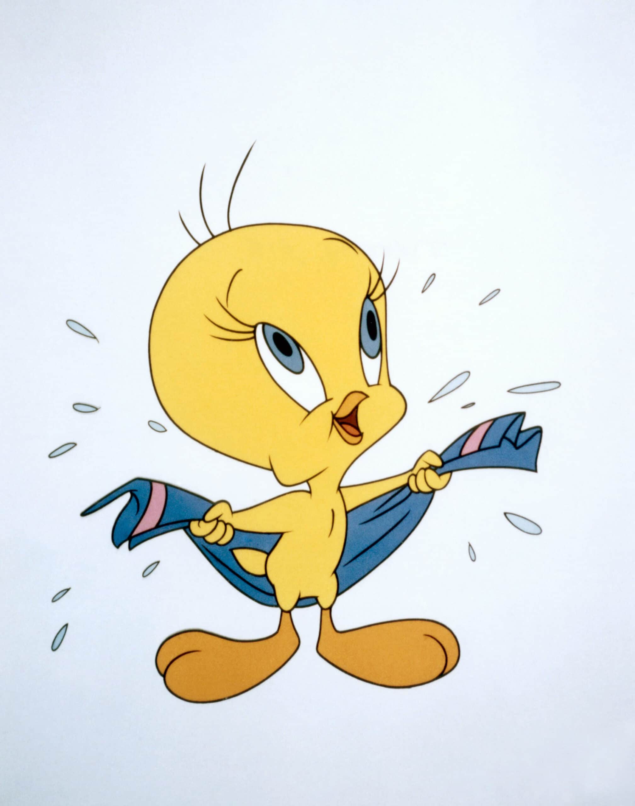 tweety bird 